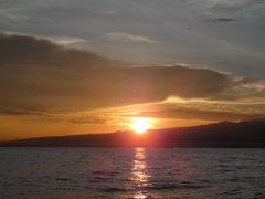 DSC00570