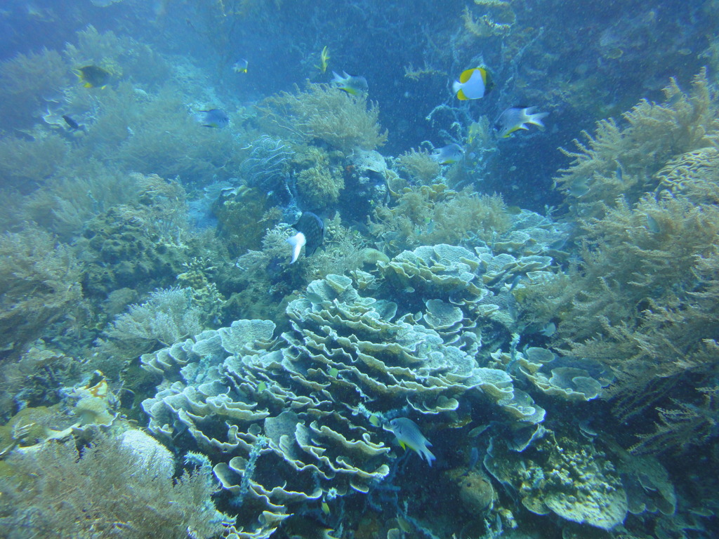DSC00656