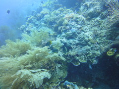 DSC00642