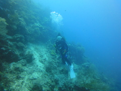 DSC00630