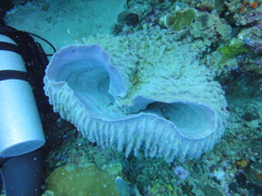 DSC00707