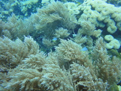 DSC00671