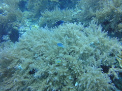 DSC00657