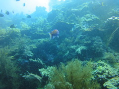 DSC00637