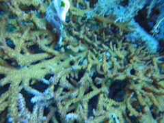 DSC00632