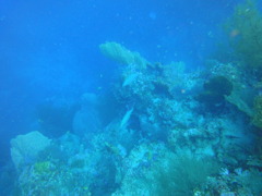 DSC00693