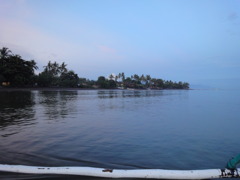 DSC00556