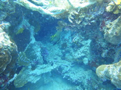DSC00665
