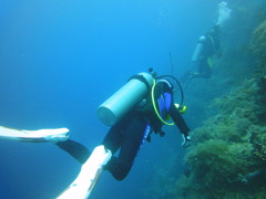 DSC00649