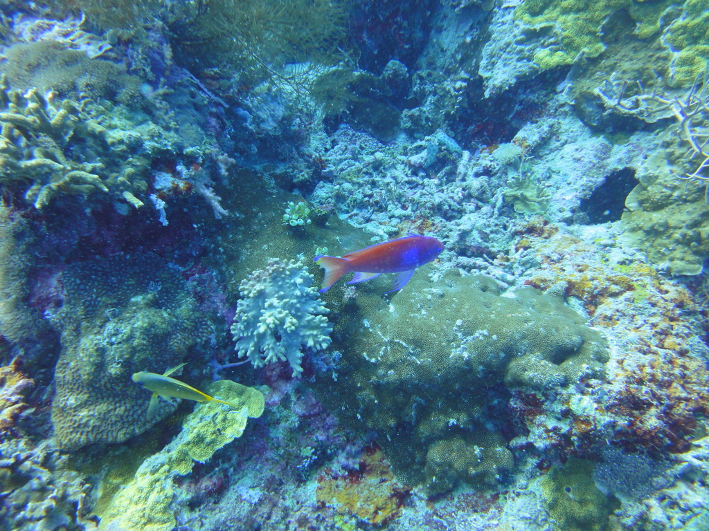 DSC00641