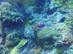 DSC00641