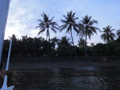 DSC00551