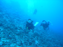 M0011082
