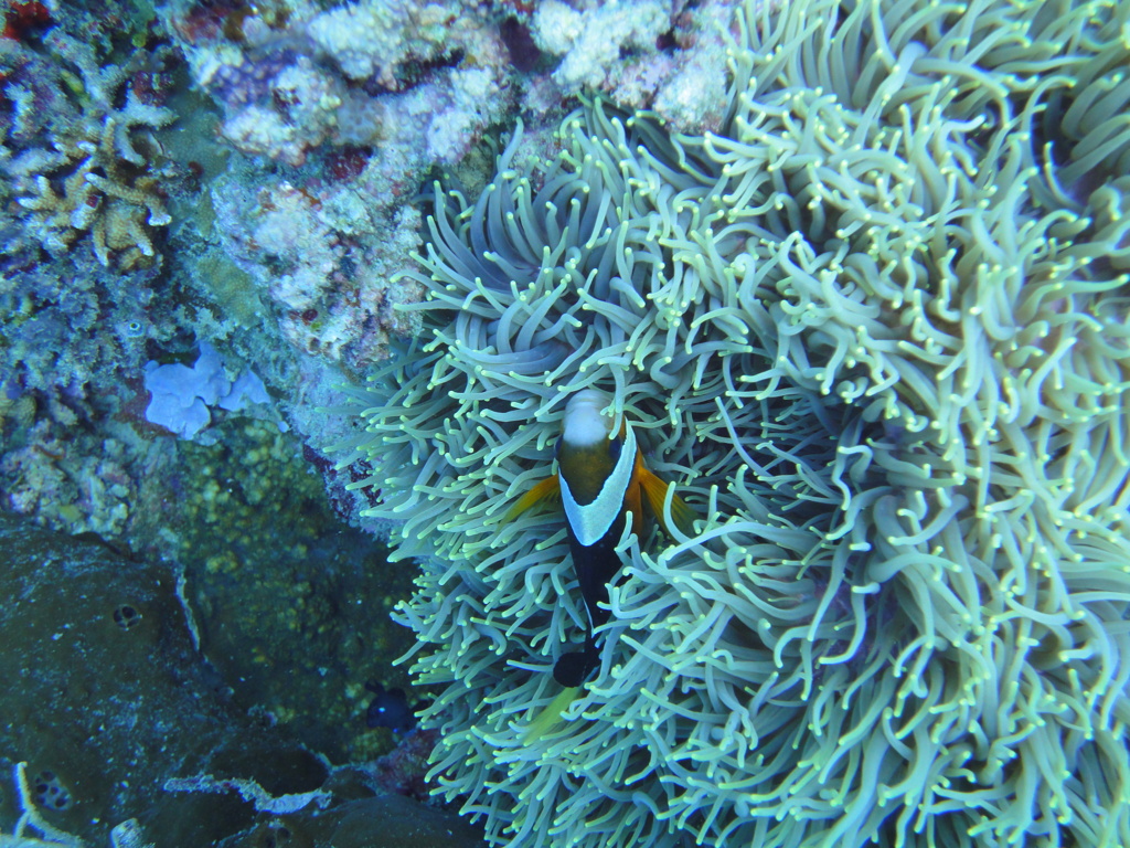 DSC00612