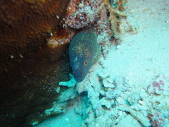DSC00618