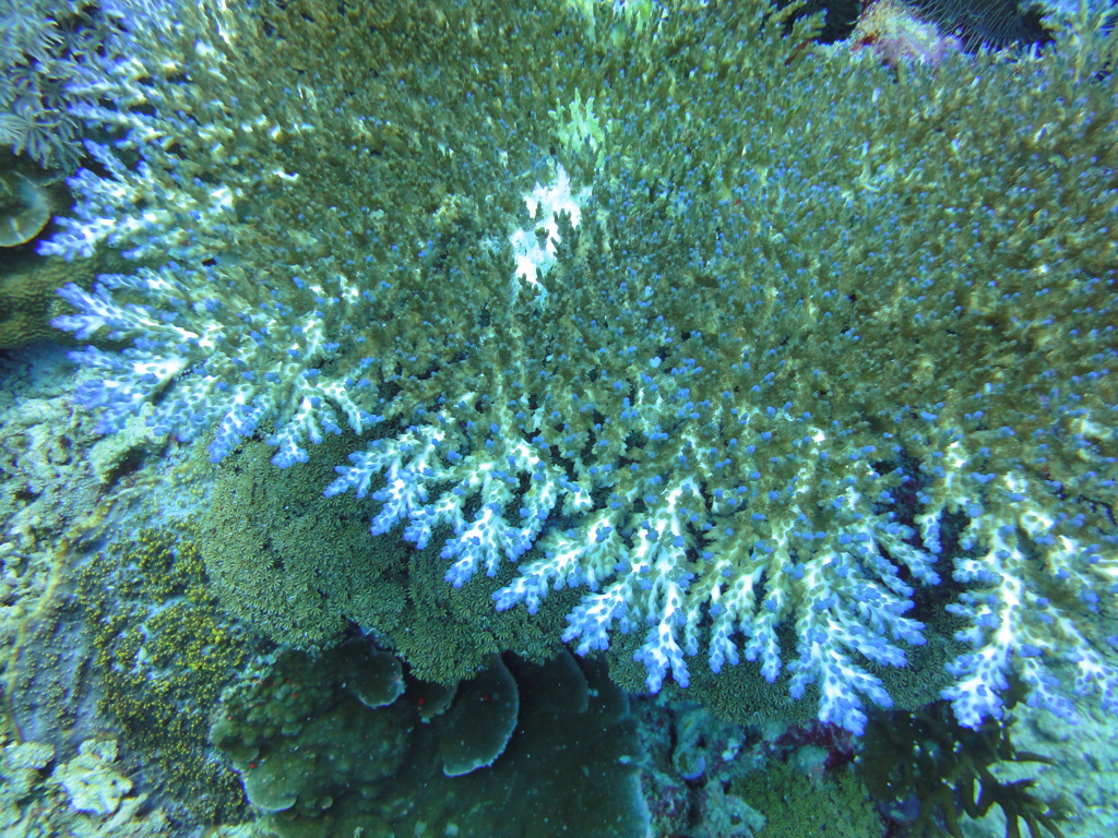 DSC00623