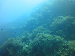 DSC00655