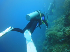 DSC00650