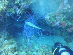 DSC00708