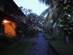 DSC00547