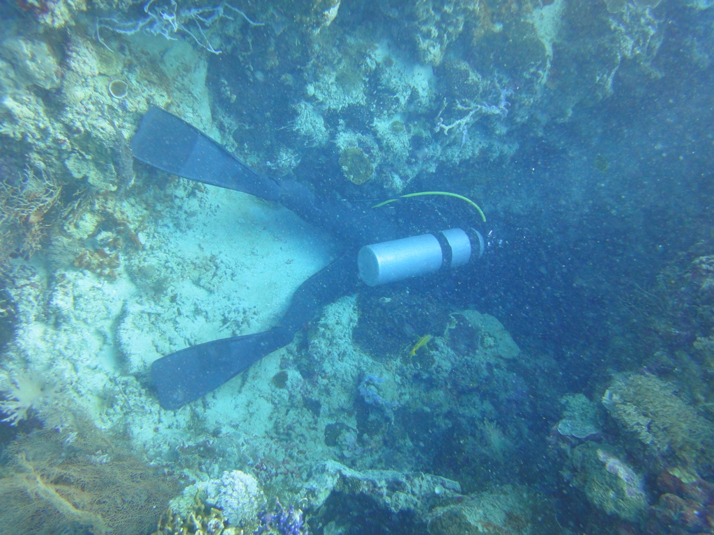 DSC00648