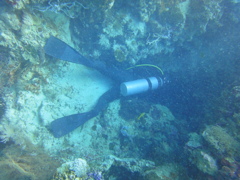 DSC00648
