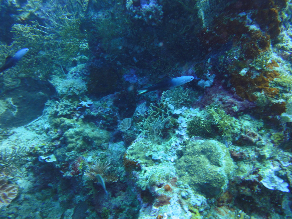 DSC00620