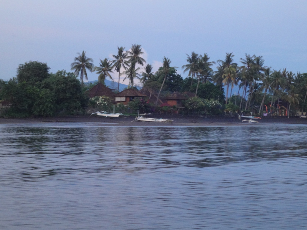DSC00557
