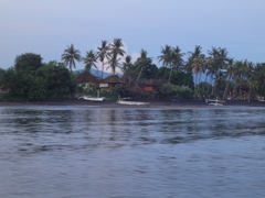 DSC00557
