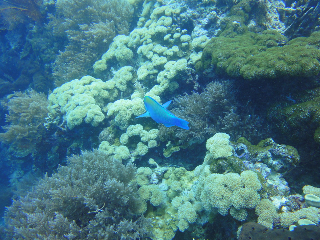 DSC00669