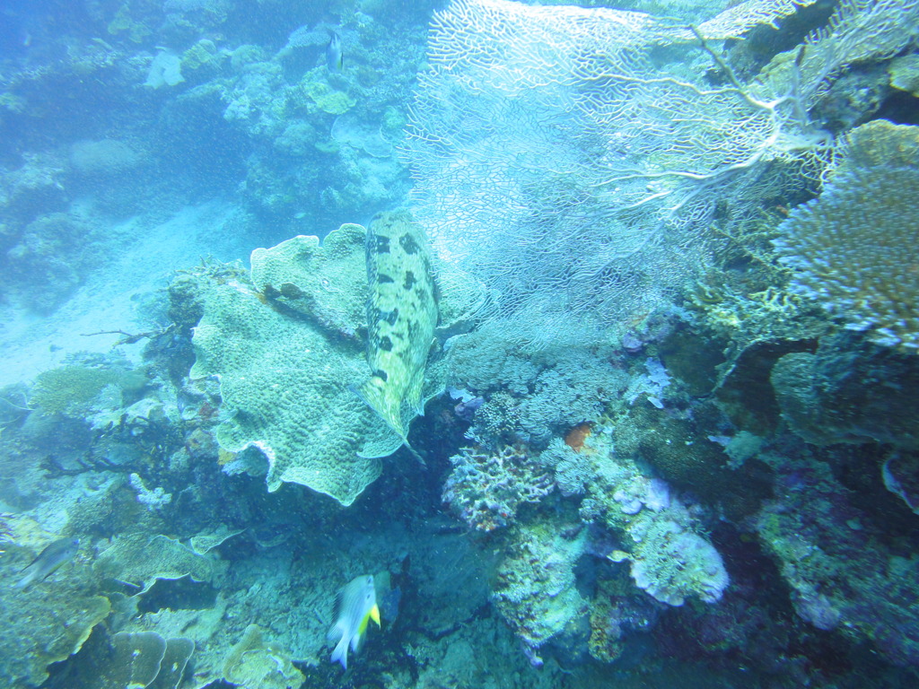 DSC00621
