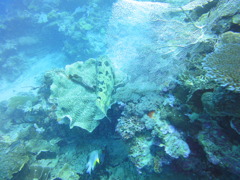 DSC00621