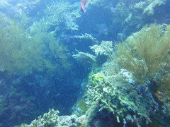 DSC00638