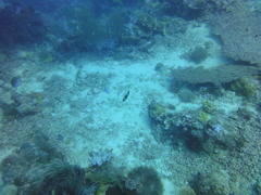 DSC00629