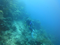 DSC00631