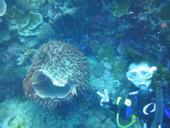 DSC00635