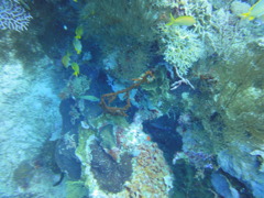 DSC00627