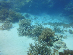 DSC00607