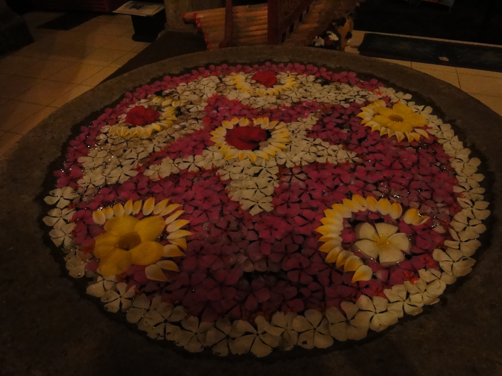 DSC00524