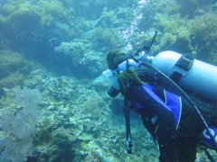 DSC00651