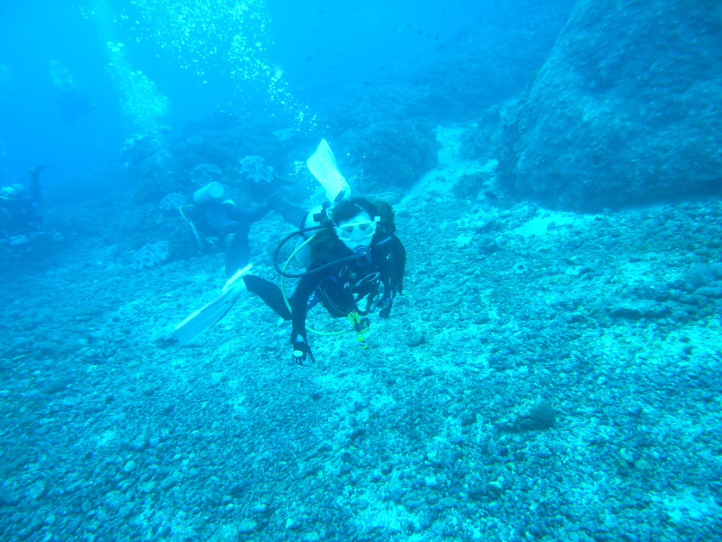 M0011065