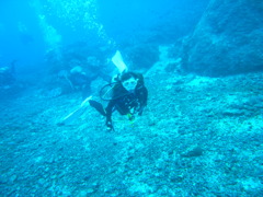 M0011065