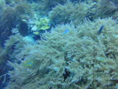 DSC00658