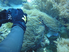DSC00668
