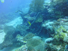 DSC00614