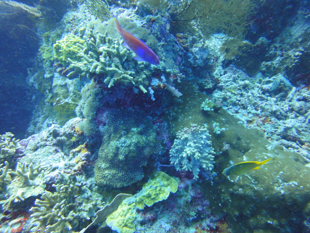 DSC00640