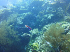 DSC00639