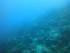DSC00622