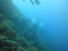 DSC00660