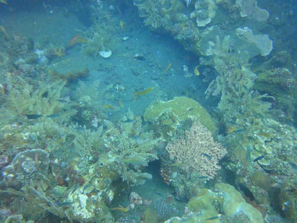 DSC00495